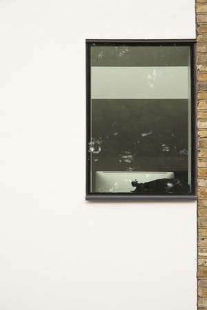 Structural glazed screen in a single panel